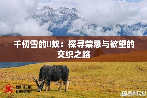 千仞雪的婬奴：探寻禁忌与欲望的交织之路