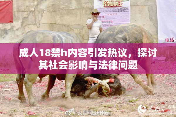 成人18禁h内容引发热议，探讨其社会影响与法律问题