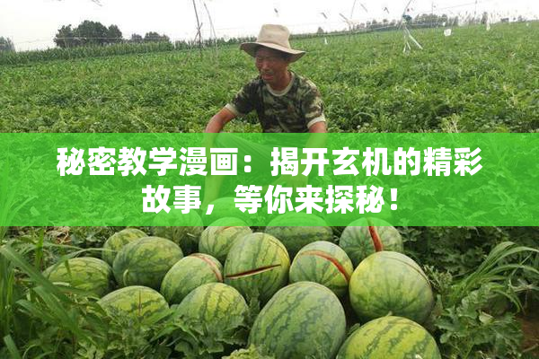 秘密教学漫画：揭开玄机的精彩故事，等你来探秘！
