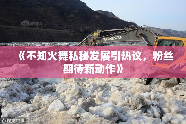 《不知火舞私秘发展引热议，粉丝期待新动作》
