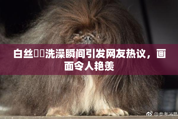 白丝妺妺洗澡瞬间引发网友热议，画面令人艳羡