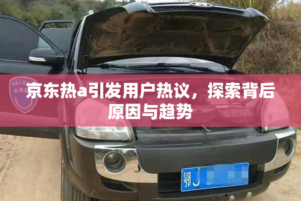 京东热a引发用户热议，探索背后原因与趋势