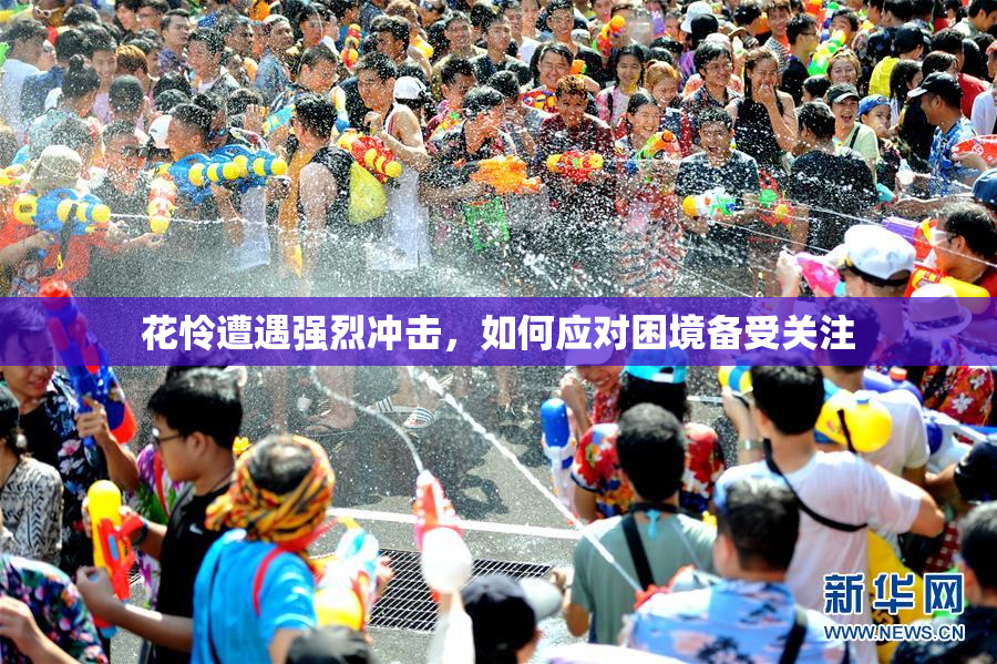 花怜遭遇强烈冲击，如何应对困境备受关注