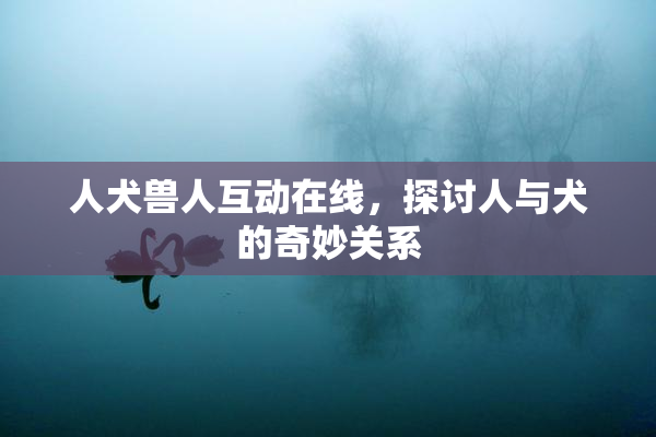 人犬兽人互动在线，探讨人与犬的奇妙关系