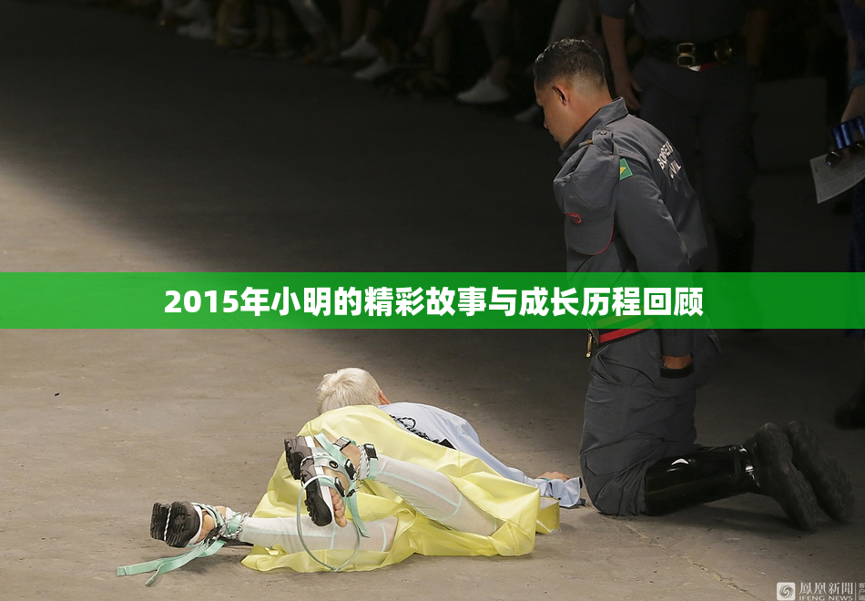 2015年小明的精彩故事与成长历程回顾
