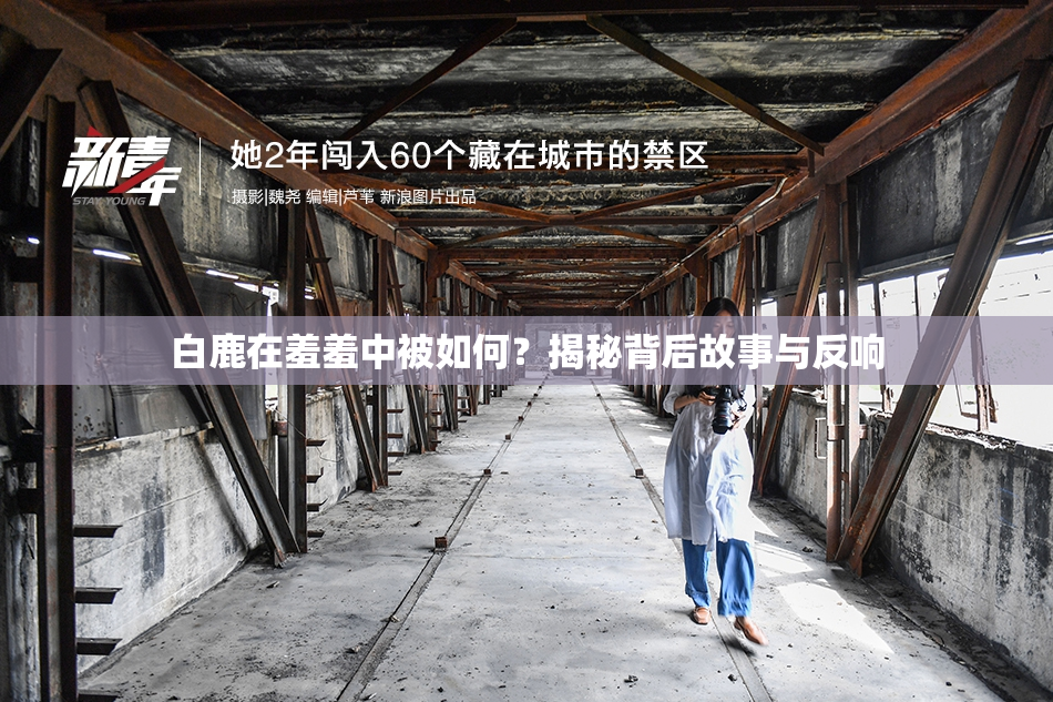 白鹿在羞羞中被如何？揭秘背后故事与反响