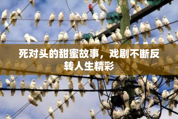 死对头的甜蜜故事，戏剧不断反转人生精彩