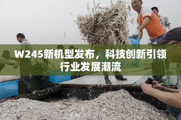 W245新机型发布，科技创新引领行业发展潮流