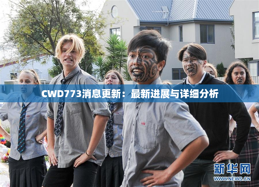 CWD773消息更新：最新进展与详细分析