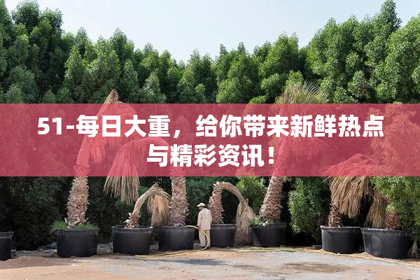 51-每日大重，给你带来新鲜热点与精彩资讯！