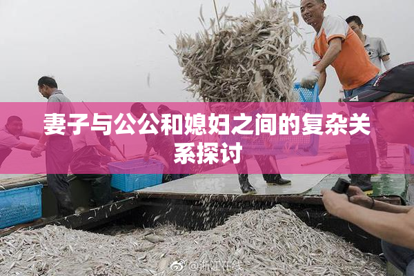 妻子与公公和媳妇之间的复杂关系探讨