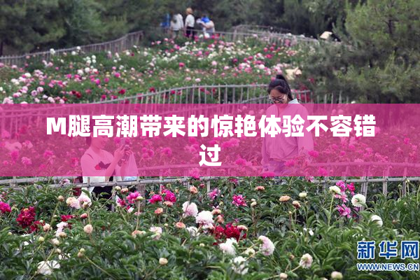 M腿高潮带来的惊艳体验不容错过