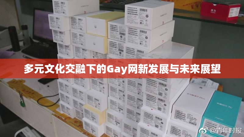 多元文化交融下的Gay网新发展与未来展望