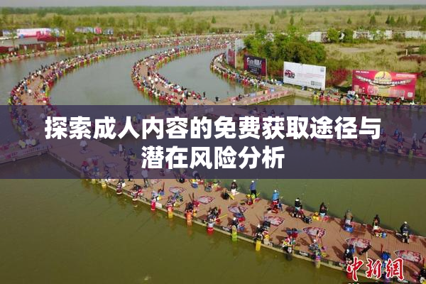 探索成人内容的免费获取途径与潜在风险分析