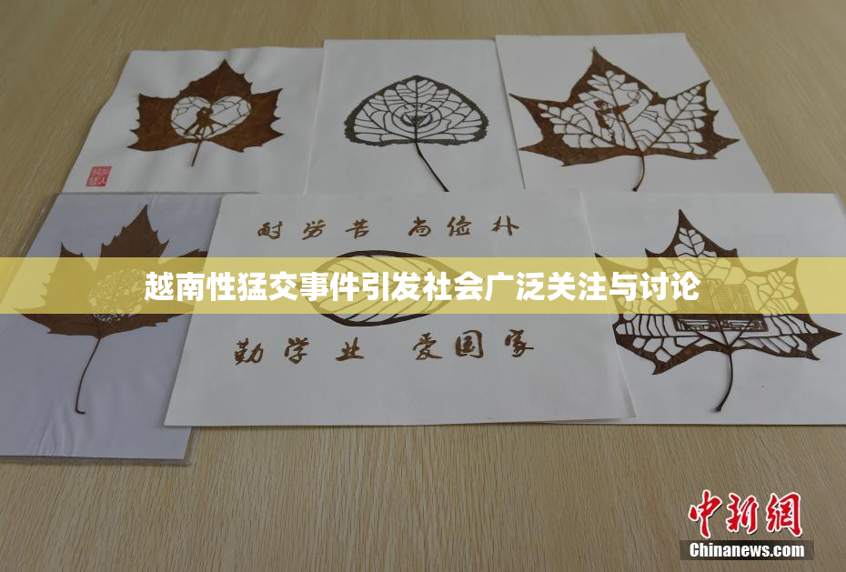 越南性猛交事件引发社会广泛关注与讨论