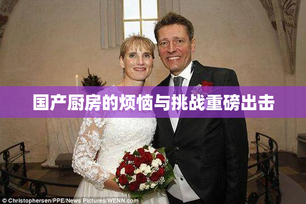 国产厨房的烦恼与挑战重磅出击