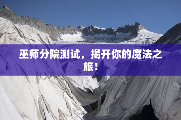 巫师分院测试，揭开你的魔法之旅！