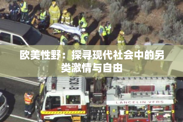 欧美性野：探寻现代社会中的另类激情与自由