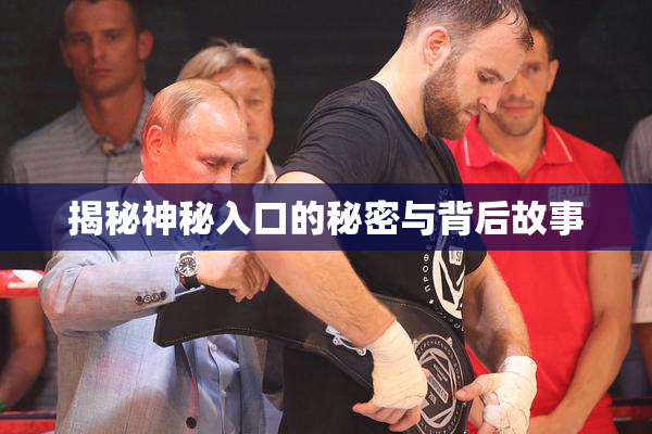 揭秘神秘入口的秘密与背后故事