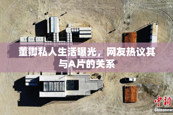 董卿私人生活曝光，网友热议其与A片的关系