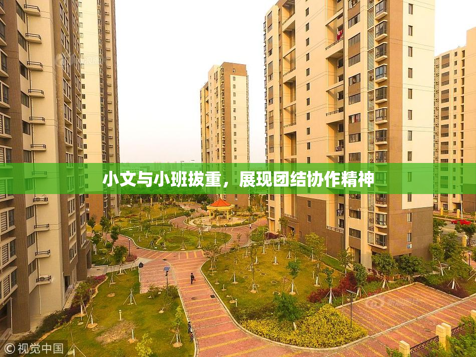 小文与小班拔重，展现团结协作精神