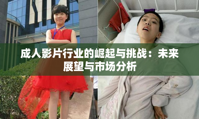成人影片行业的崛起与挑战：未来展望与市场分析