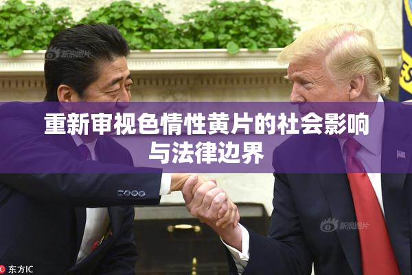 重新审视色情性黄片的社会影响与法律边界