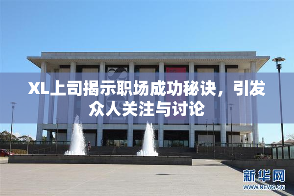 XL上司揭示职场成功秘诀，引发众人关注与讨论