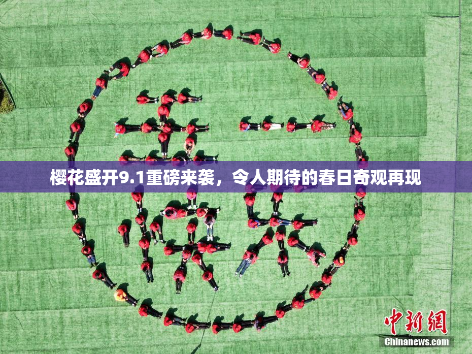 樱花盛开9.1重磅来袭，令人期待的春日奇观再现