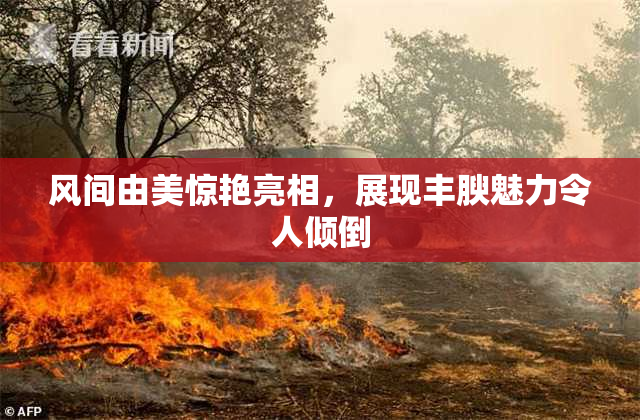 风间由美惊艳亮相，展现丰腴魅力令人倾倒
