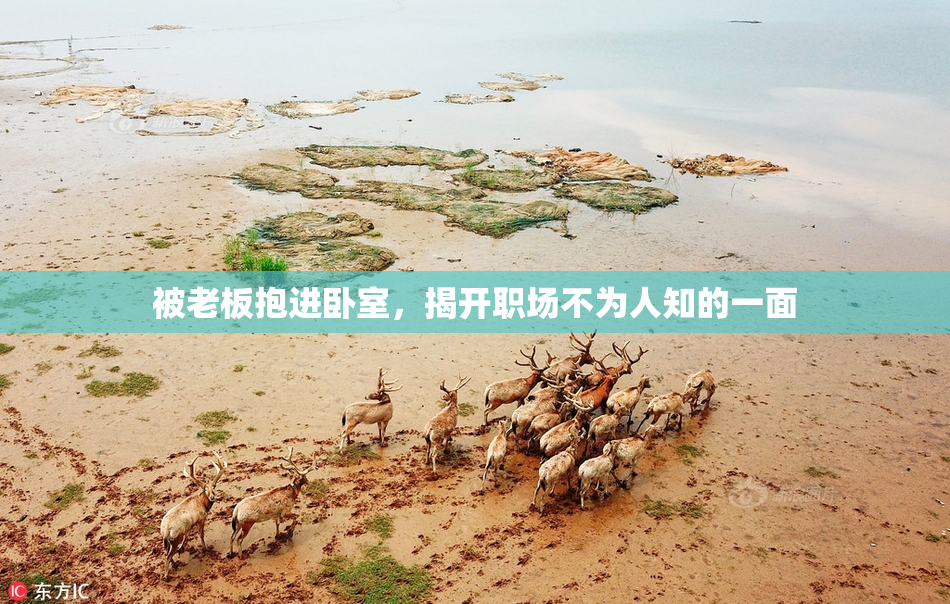 被老板抱进卧室，揭开职场不为人知的一面
