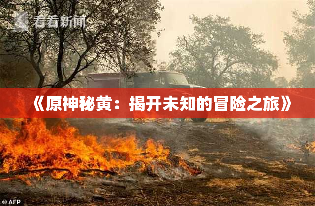 《原神秘黄：揭开未知的冒险之旅》