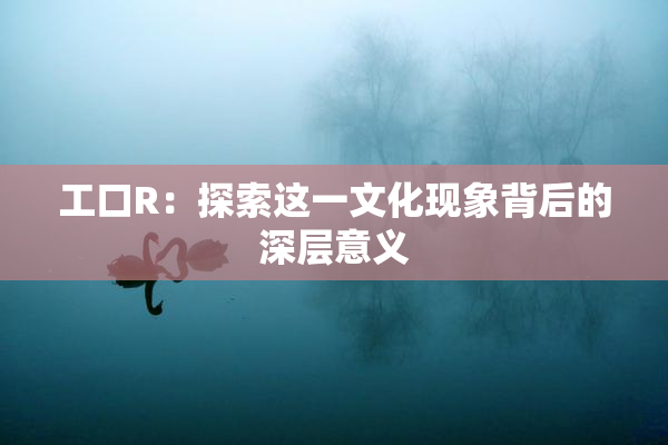 工口R：探索这一文化现象背后的深层意义