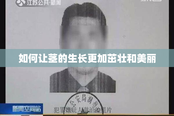 如何让茎的生长更加茁壮和美丽