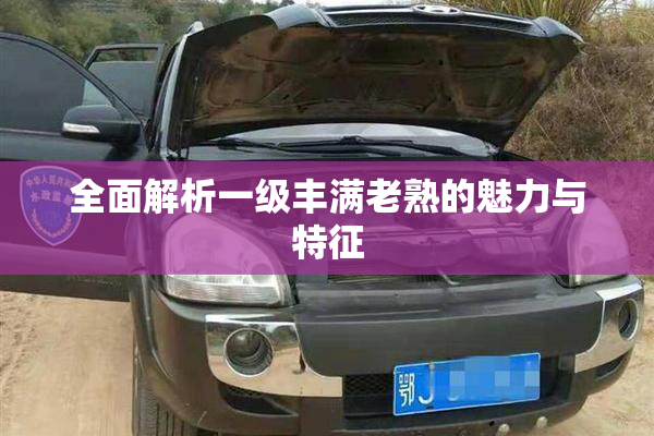 全面解析一级丰满老熟的魅力与特征