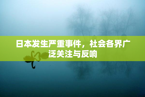 日本发生严重事件，社会各界广泛关注与反响
