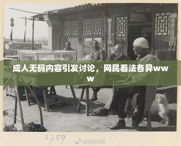 成人无码内容引发讨论，网民看法各异www