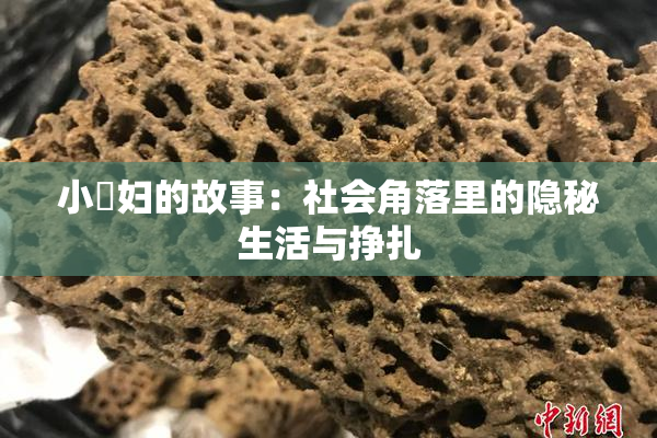 小婬妇的故事：社会角落里的隐秘生活与挣扎