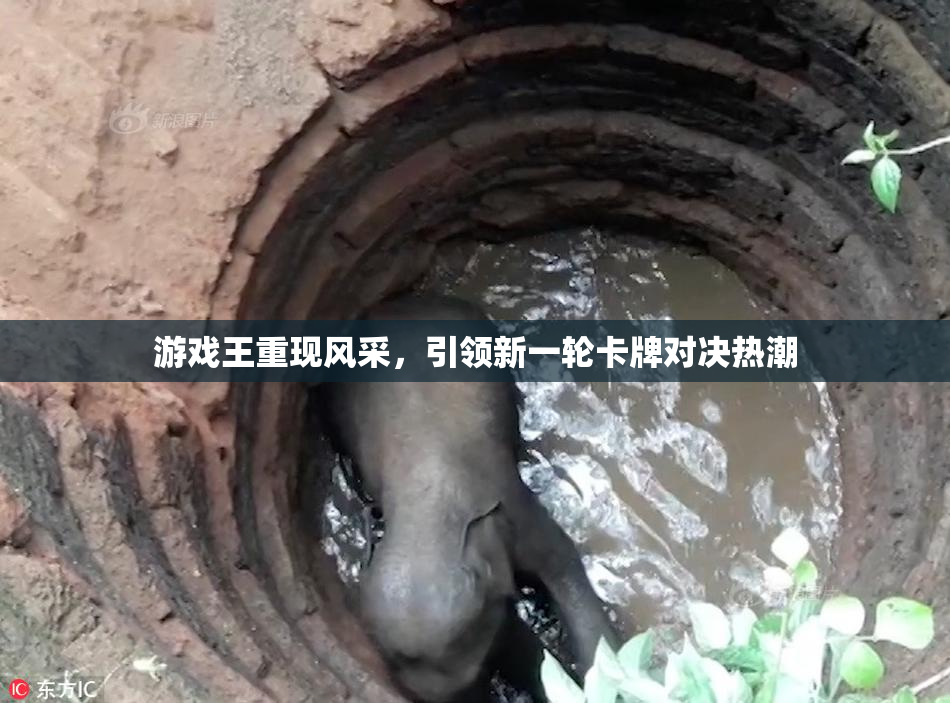 游戏王重现风采，引领新一轮卡牌对决热潮