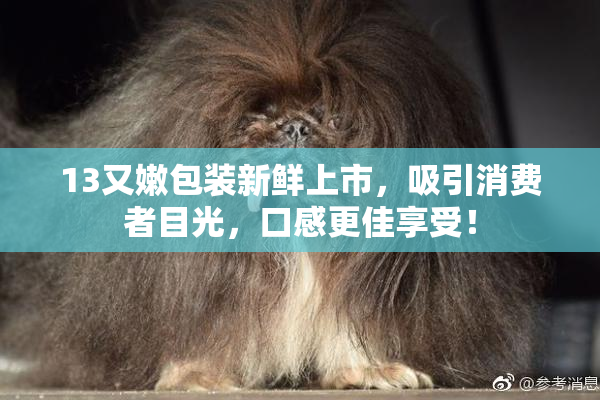 13又嫩包装新鲜上市，吸引消费者目光，口感更佳享受！
