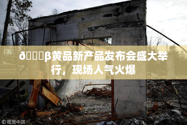 🔞β黄品新产品发布会盛大举行，现场人气火爆