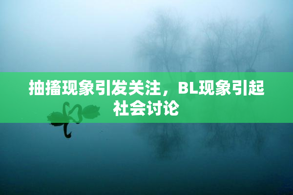 抽搐现象引发关注，BL现象引起社会讨论
