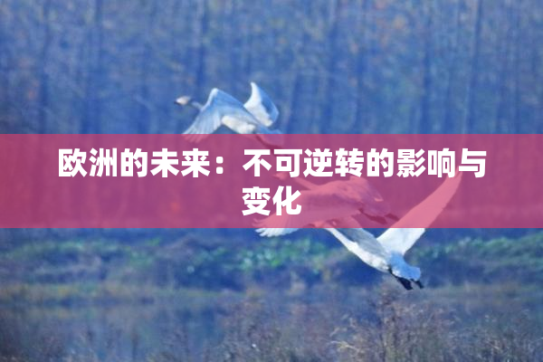 欧洲的未来：不可逆转的影响与变化