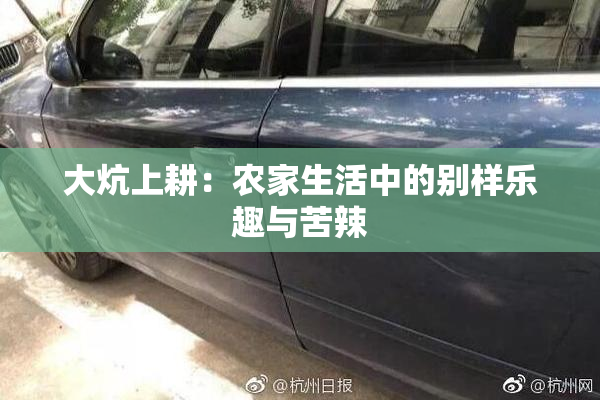 大炕上耕：农家生活中的别样乐趣与苦辣