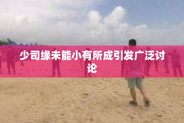 少司缘未能小有所成引发广泛讨论