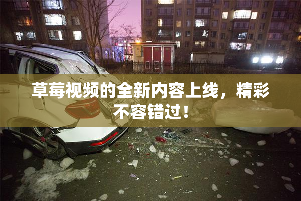 草莓视频的全新内容上线，精彩不容错过！