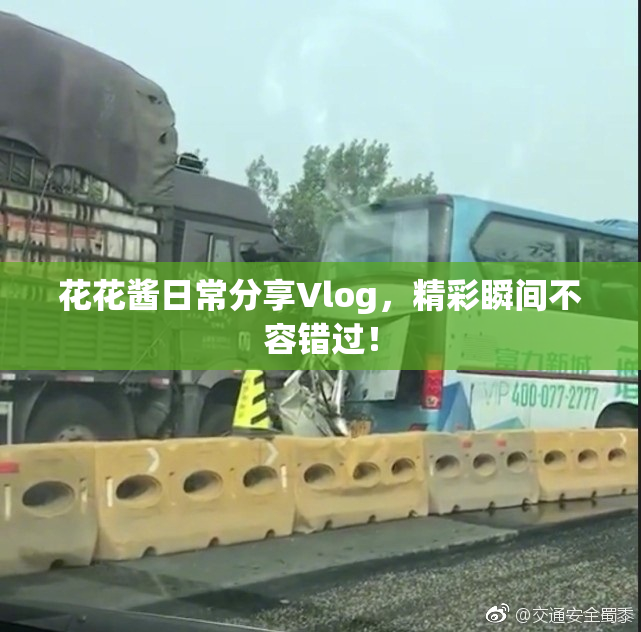 花花酱日常分享Vlog，精彩瞬间不容错过！