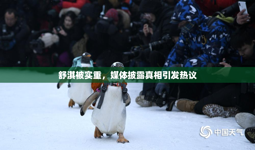 舒淇被实重，媒体披露真相引发热议