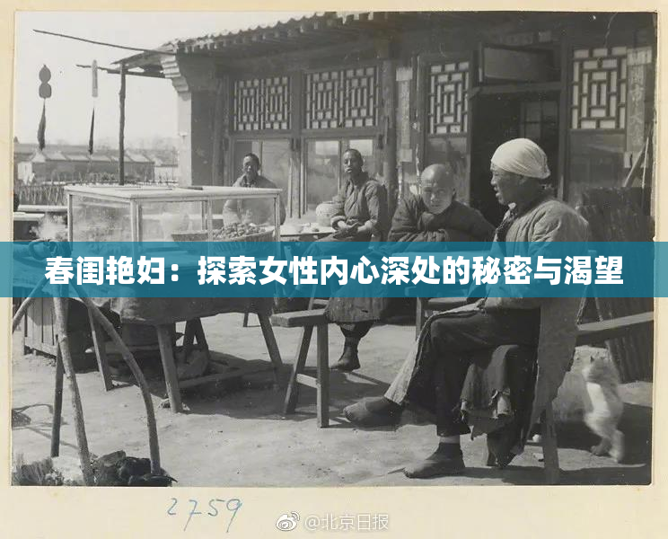 春闺艳妇：探索女性内心深处的秘密与渴望
