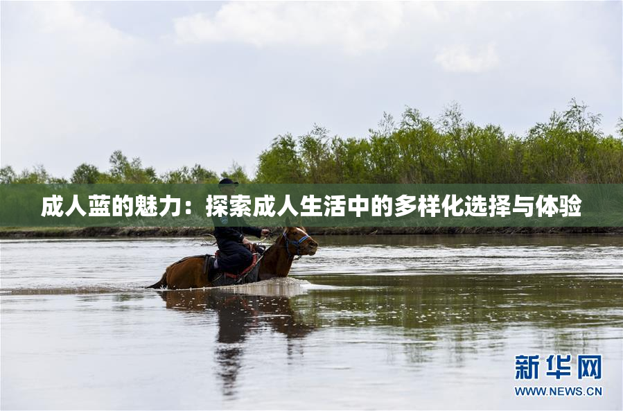 成人蓝的魅力：探索成人生活中的多样化选择与体验